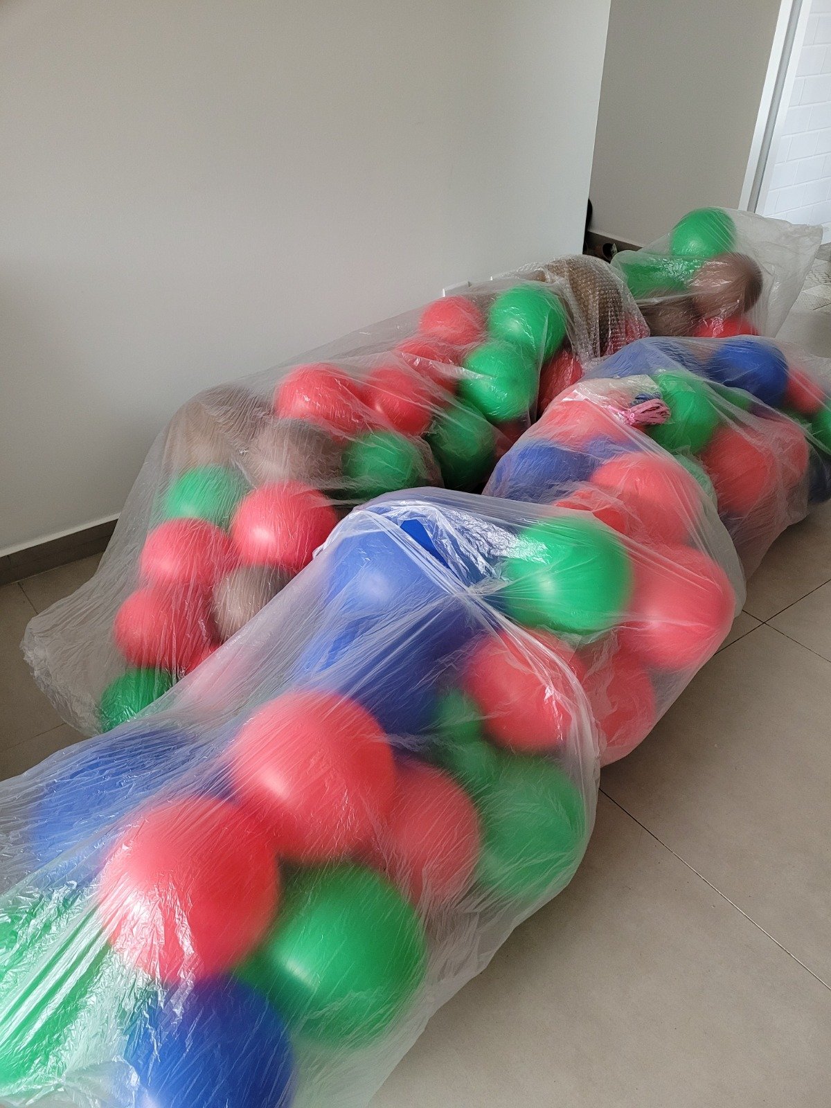 Logistica de entrega